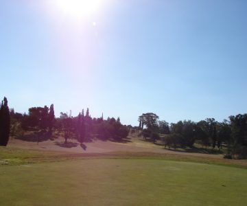 Alta gracia GC 2