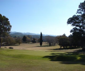 Alta gracia GC 3