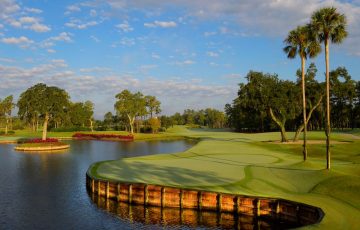 TPC dorado beach 1