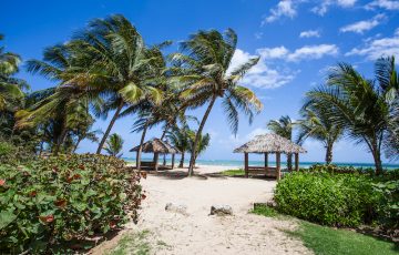 bahia beach resort puerto rico