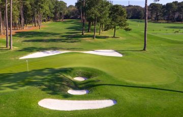 harbour town golf links