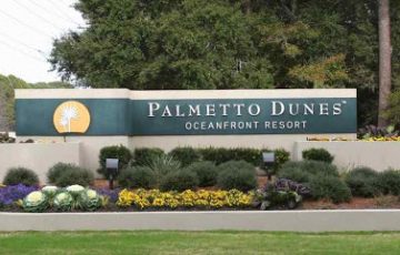 palmetto dunes 1